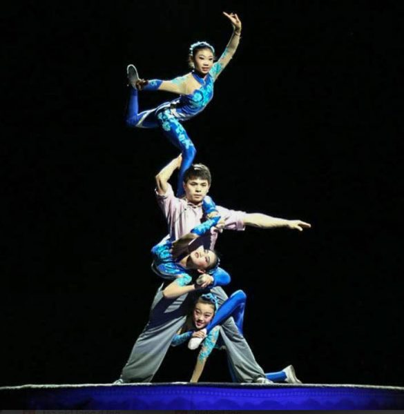 The amazing skill of The Acrobats of China is simply mindblowing